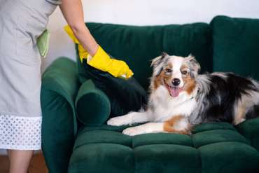 Ultimate Guide to Hiring the Best Maids near You
